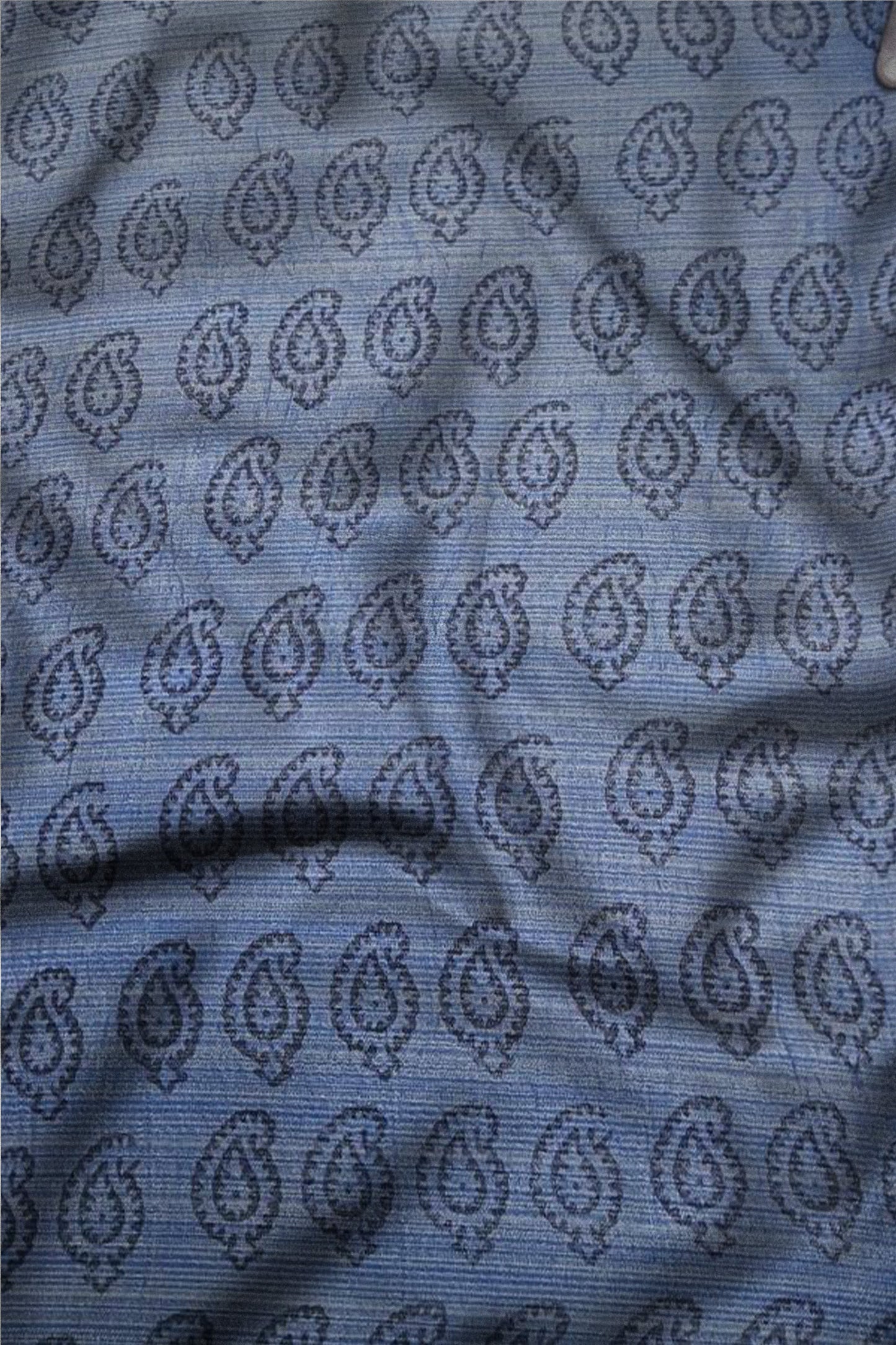 Bagh on Cotton Tissue